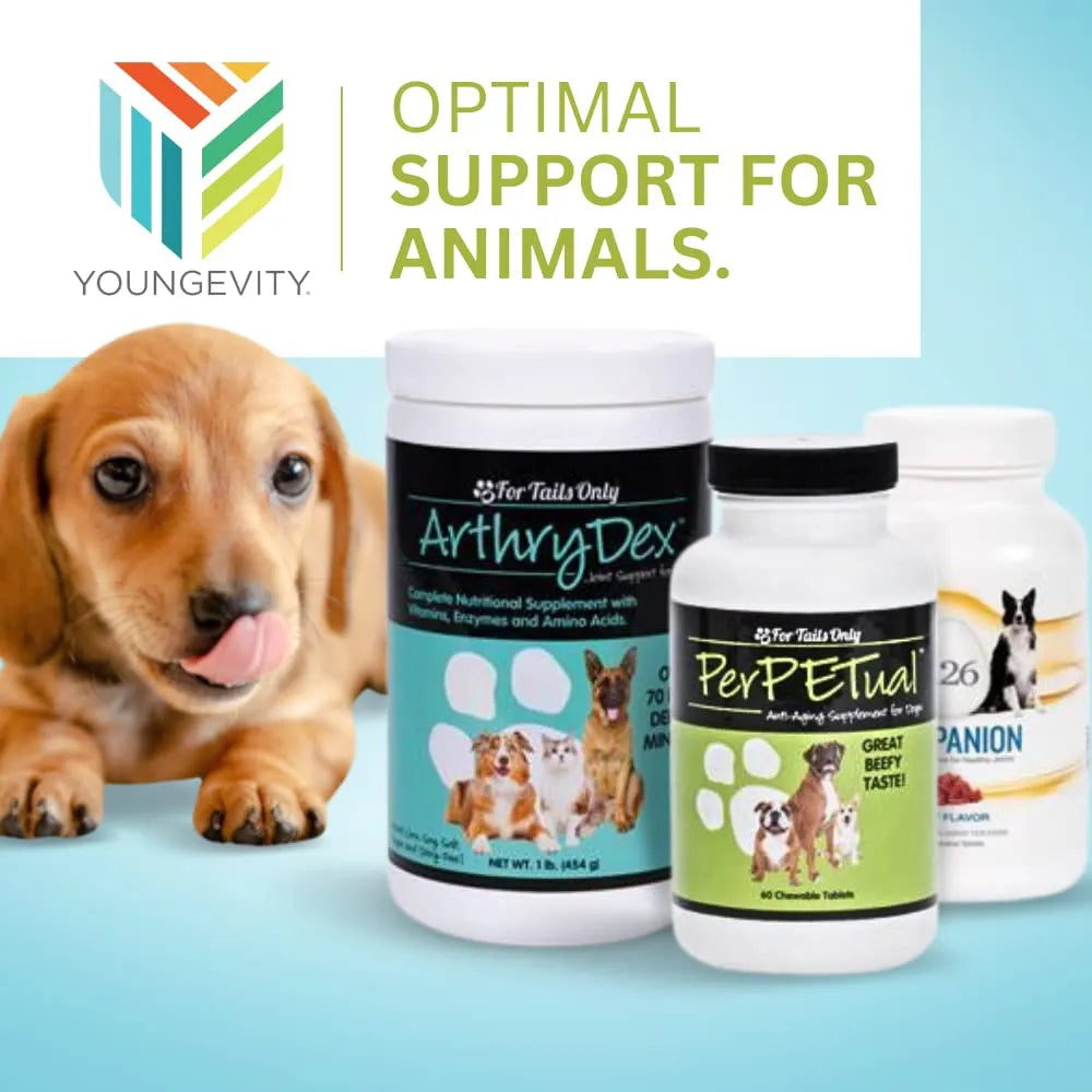 Arthrydex Suplemento Nutricional Vitaminas Probióticas Para Mascotas Huesos Y Articulaciones 1 Libra X 4