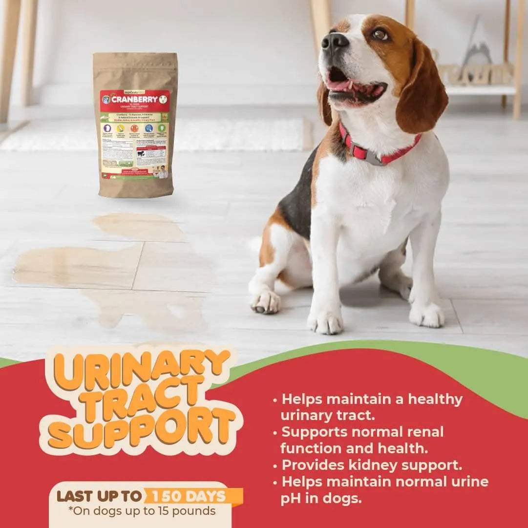 Polvo De Arándano Natural Para Perros Tratamiento Infección Urinaria y Soporte Renal
