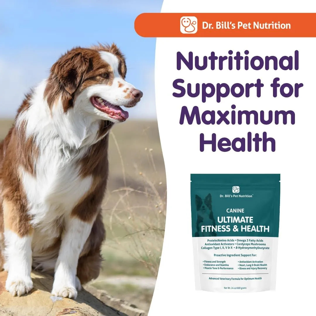 Vitaminas Caninas Multivitaminico Con Coenzima Q10 Para Perros Dr Bills