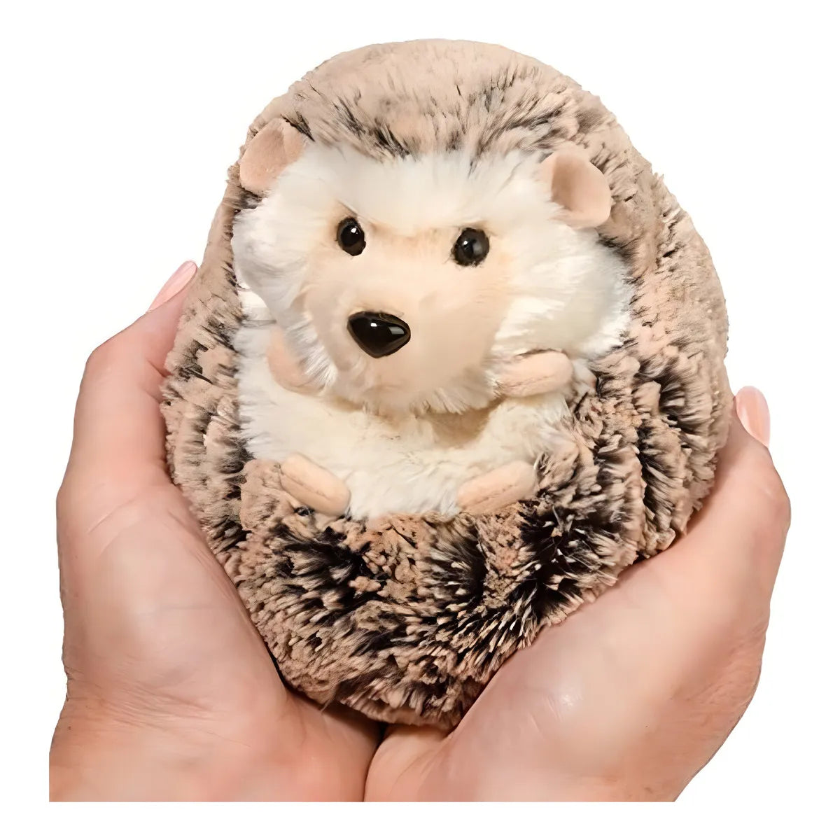 Douglas Spunky Hedgehog Peluche Erizo Suave Juguete Educativo Niño