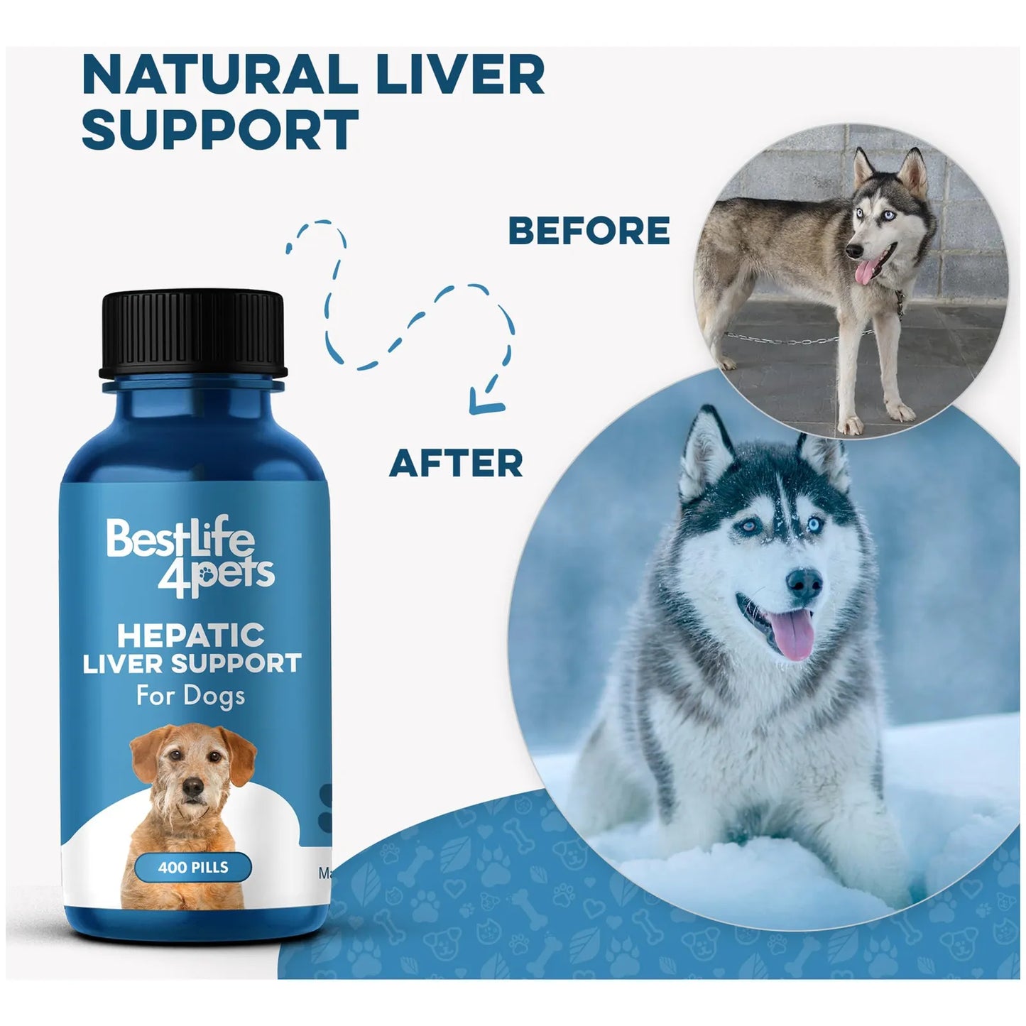 Soporte Hepático Natural Para Perros Digestivo Homeopático 100 Natural 450 Pastillas