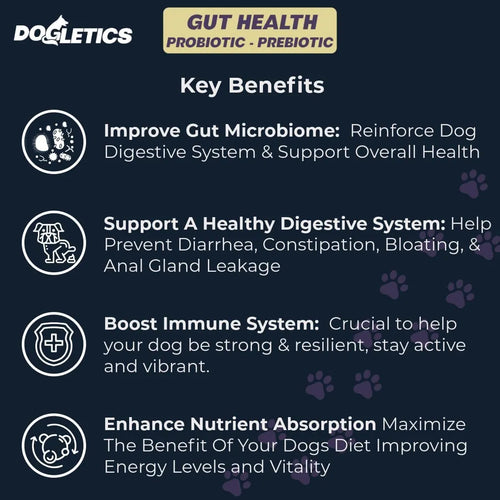 Probiótico Prebiótico Salud Intestinal 90 Unidades Apoyo Mic Perros