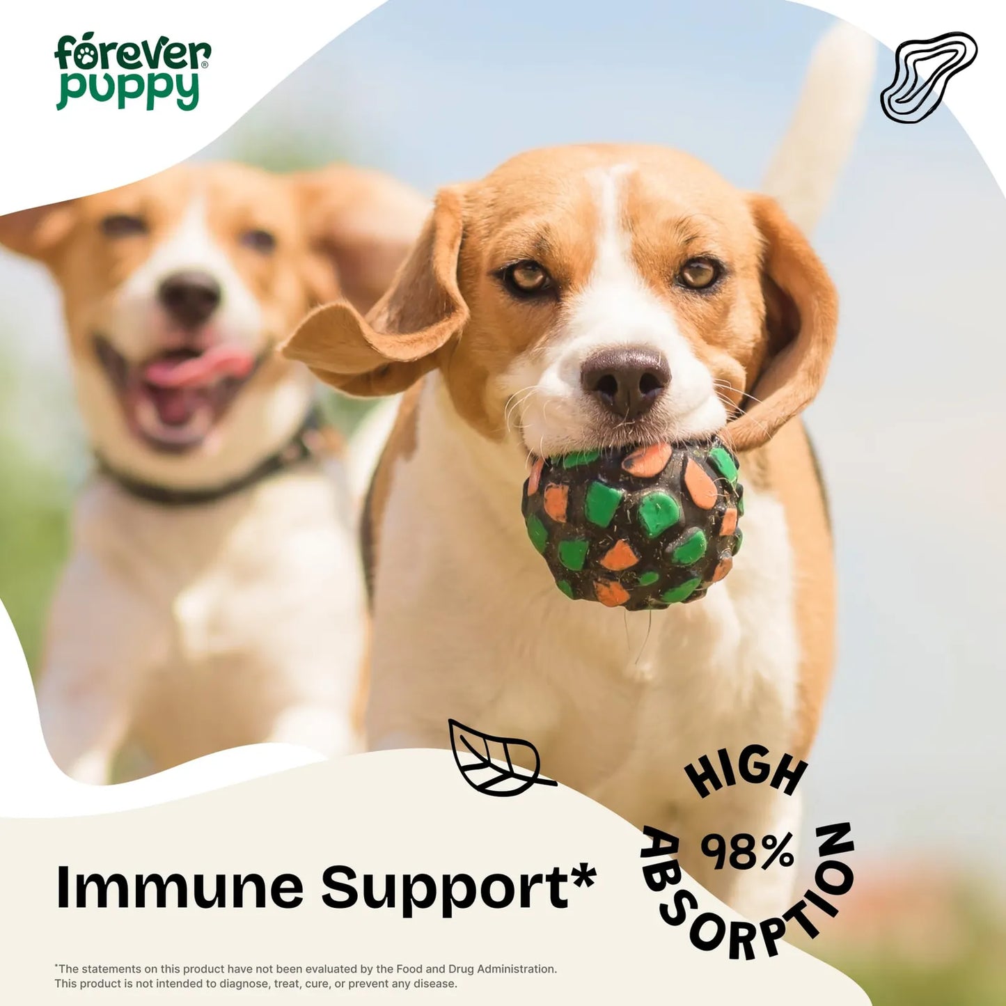 Gotas De Equinácea Para Perros Apoyo Inmunológico Y Salud Respiratoria 4 Fl Oz