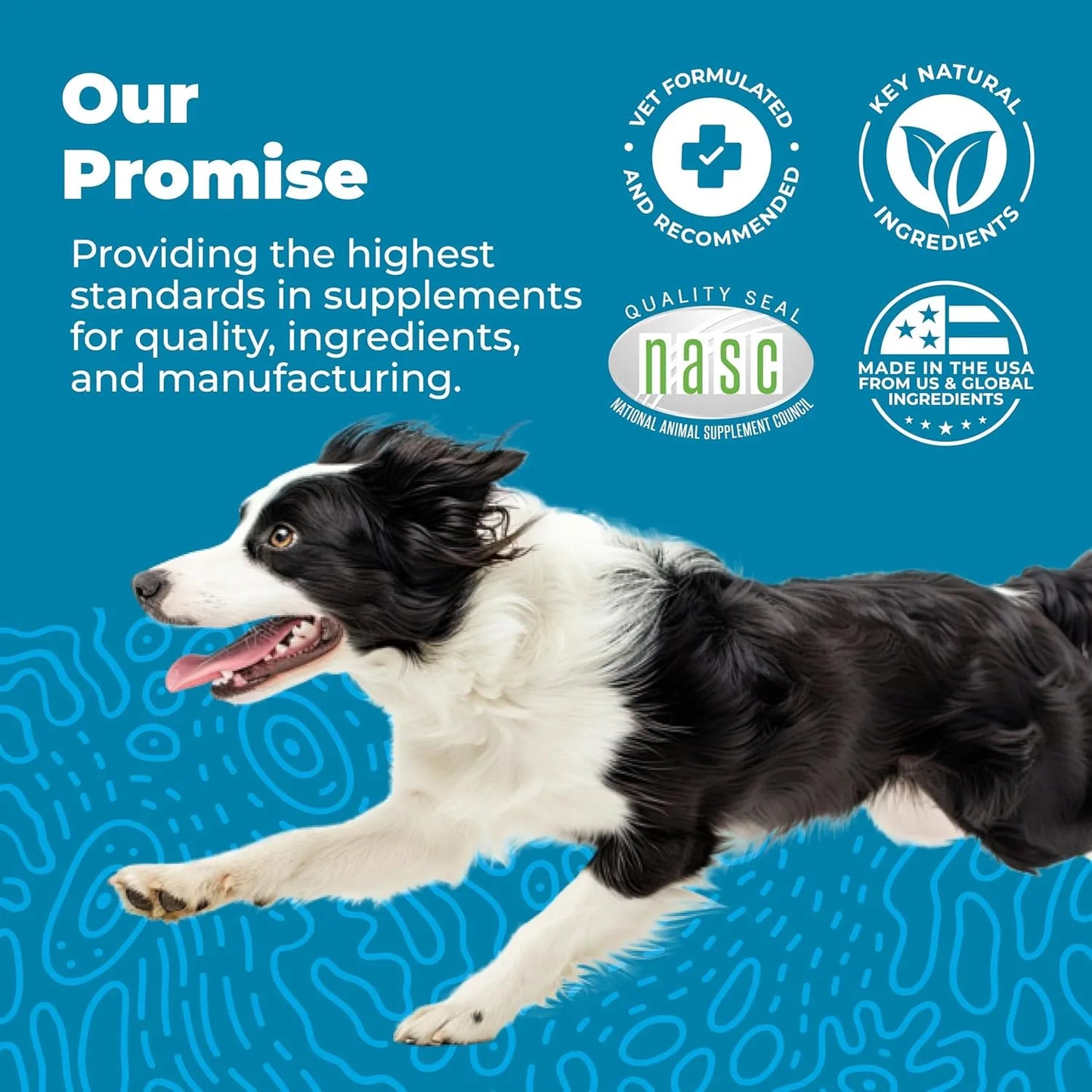 Probióticos Masticables Para Perros Vetnique Glandex Sabor Tocino Salud Intestinal