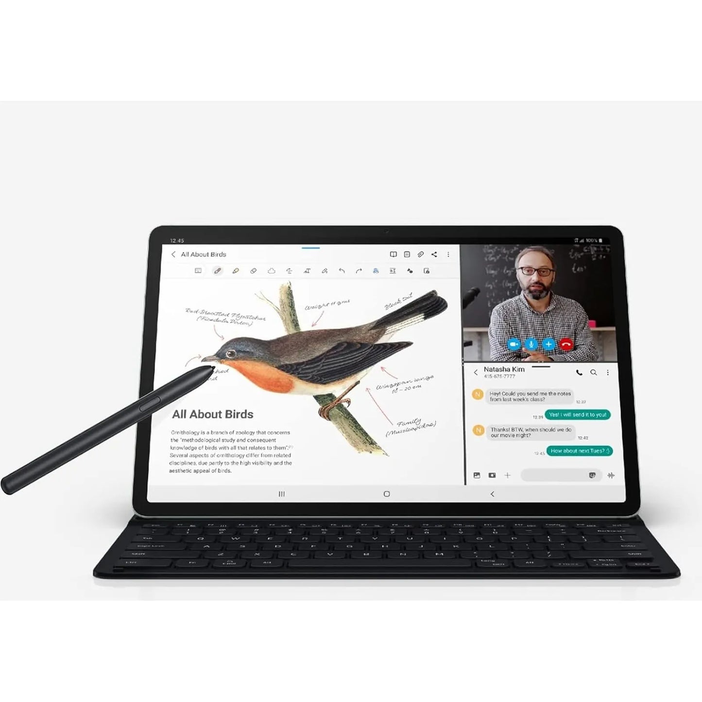 Lápiz Óptico Samsung Galaxy Tab S7 FE Alta Sensibilidad 4096 Niveles Incluye 5 Puntas
