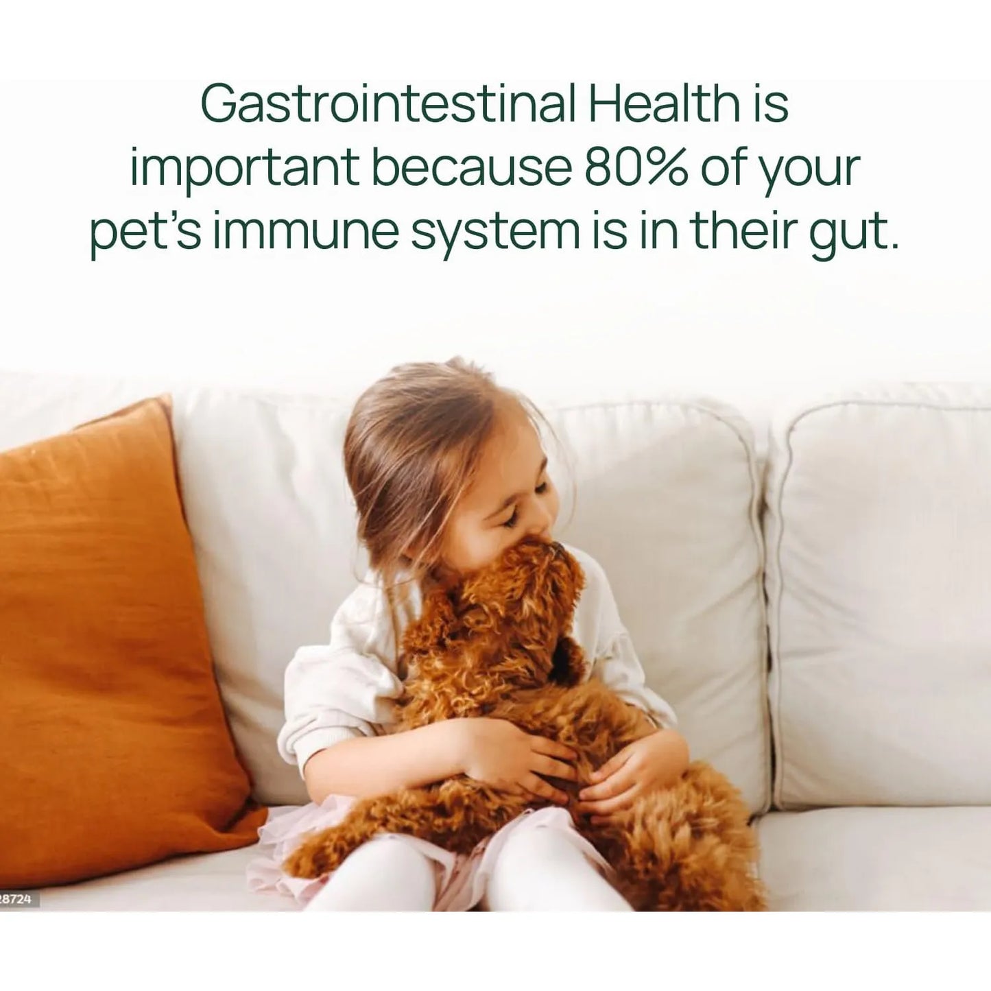 Pawtree Gastro Pro Plus Probióticos Para Perros Y Gatos Digestión Sensible Y Heces Firmes
