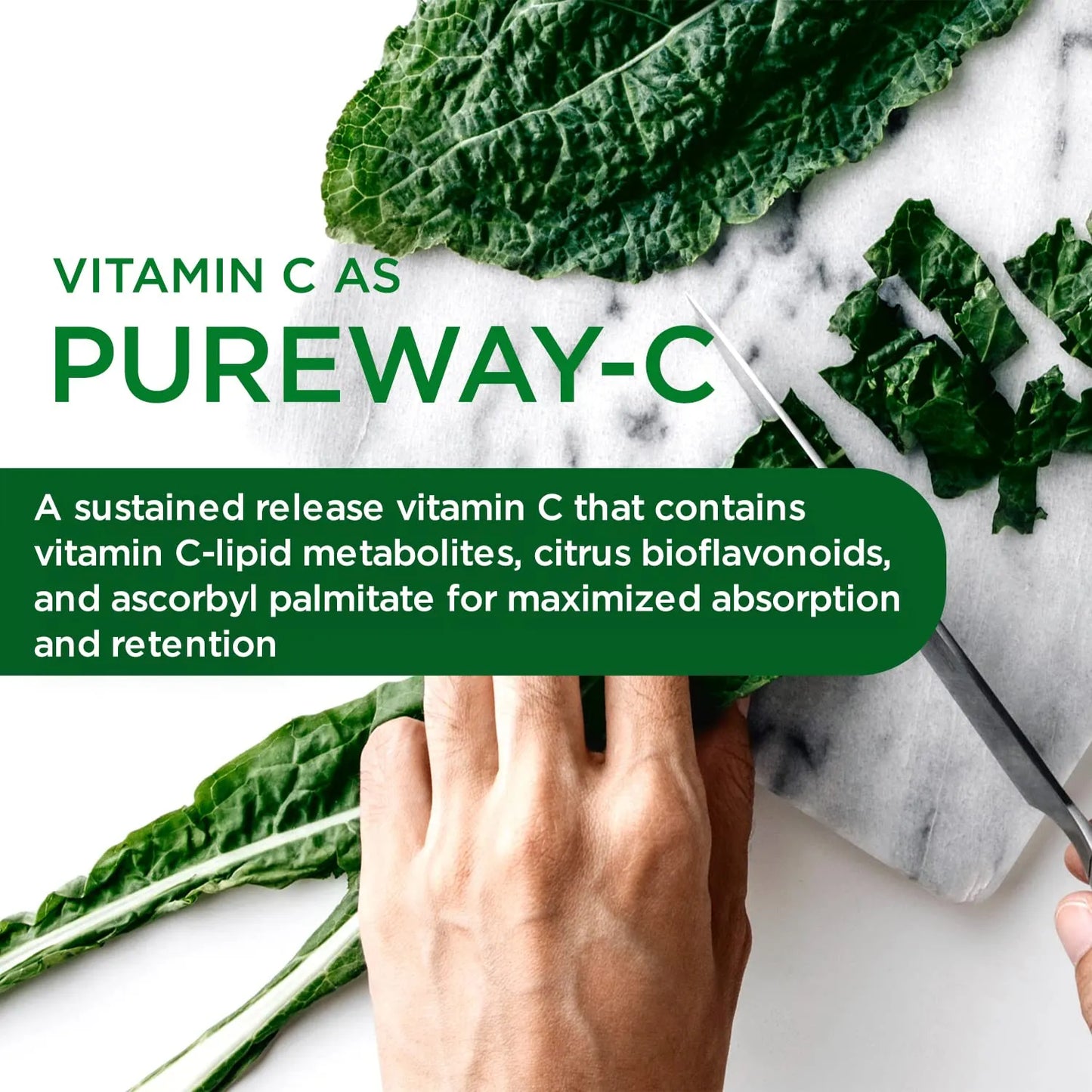 Suplemento Multivitamínico Premium Con Vitamina C Complejo B Coq10 Zinc Probióticos 60 Cápsulas