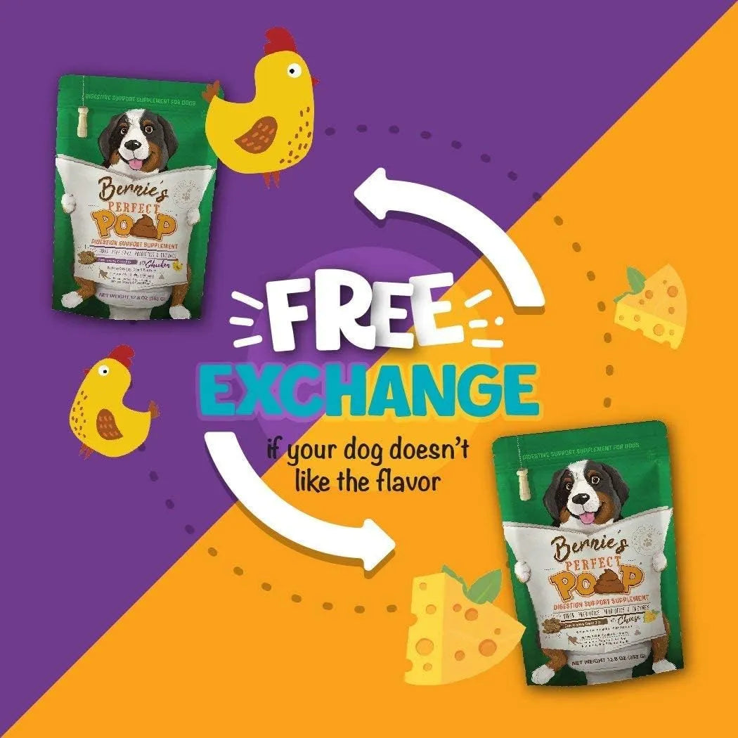 Suplemento Digestivo Para Perros Fibra Prebióticos Probióticos Enzimas Salud Intestinal