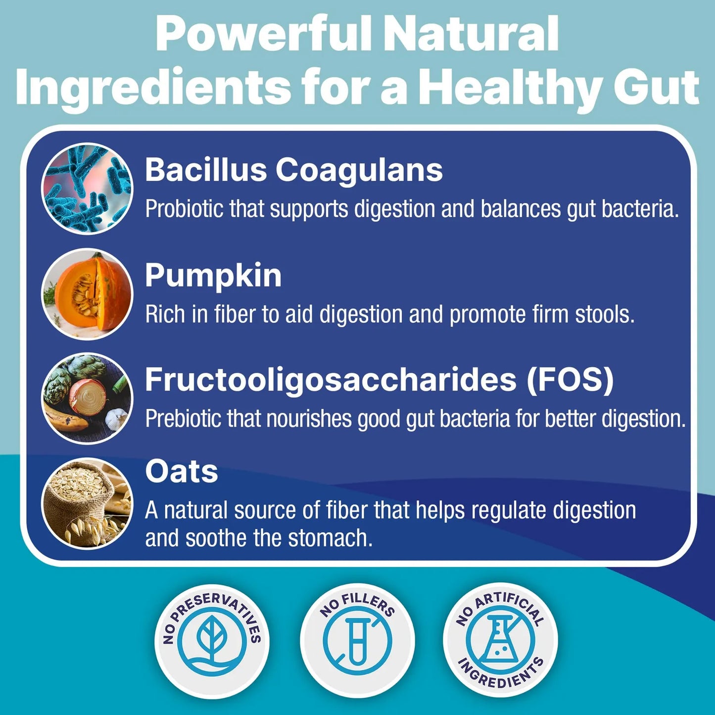 Probióticos Esenciales Para Perros Salud Intestinal Y Bienestar