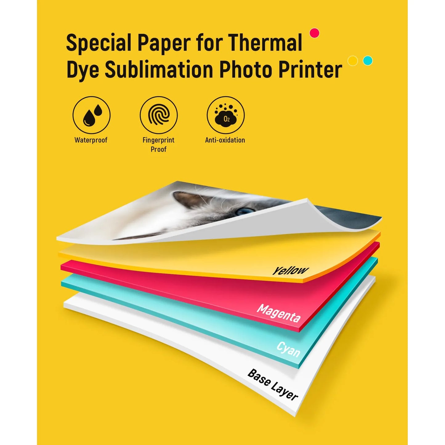 Papel Fotográfico 10x15 Cm Y Cartucho Repuesto Para Impresora DHP512/DHP513 40 Hojas