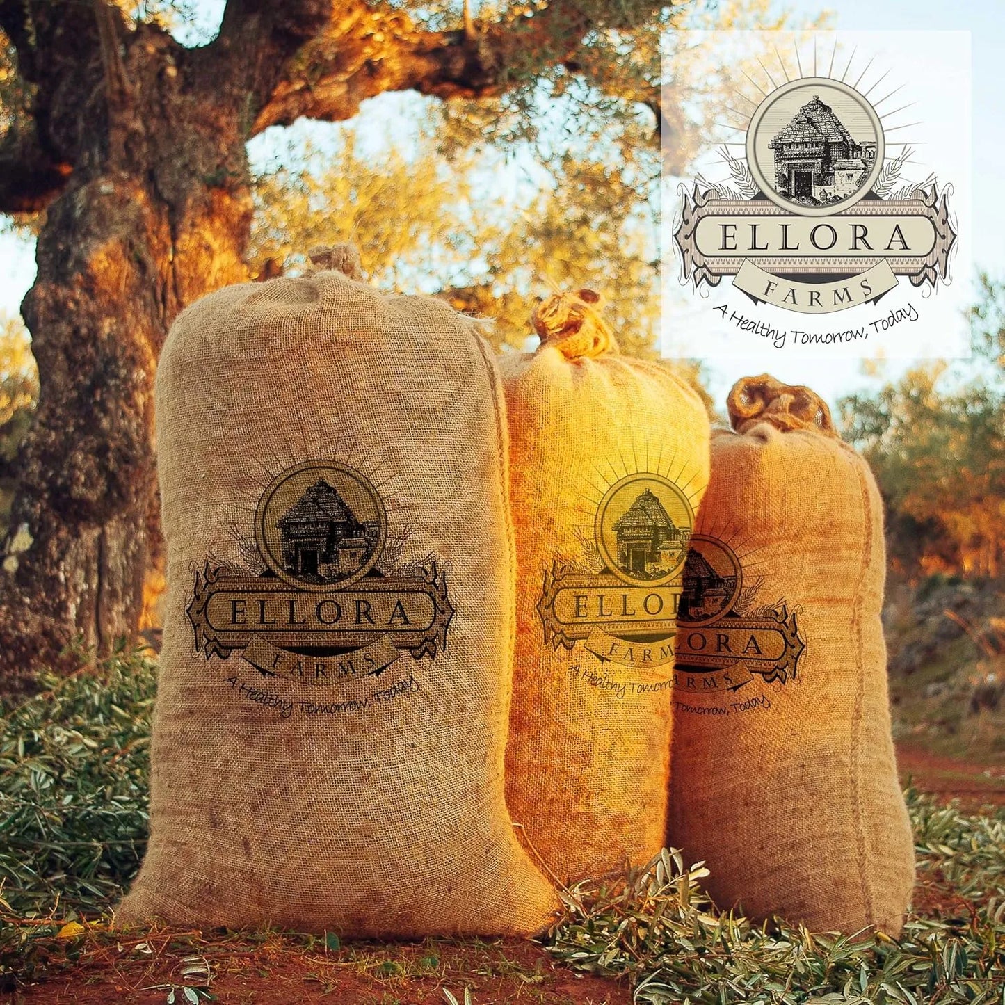 Aceite De Oliva Virgen Extra Primera Extracción Fría Ellora Farms DOP Grecia