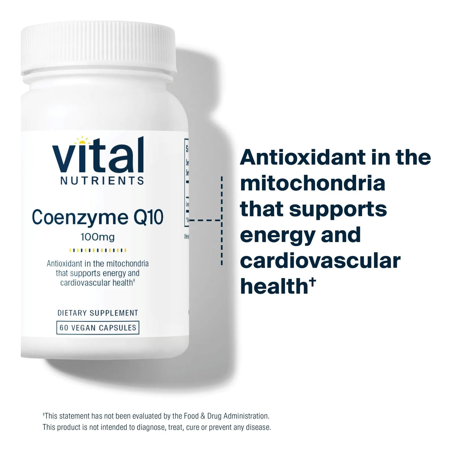 Coenzima Q10 100mg Suplemento Vegano Antioxidante Salud Corazon Energia