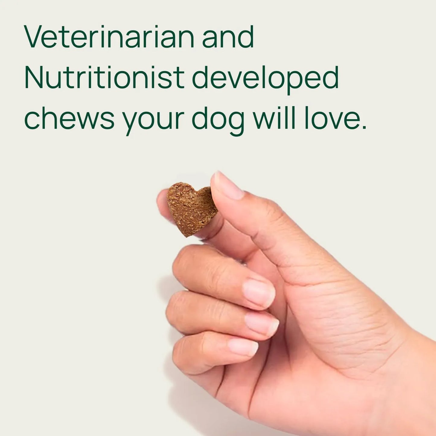 Suplemento Articular Para Perros Con Glucosamina Condroitina MSM Mejillones Y Cúrcuma Importado EE UU