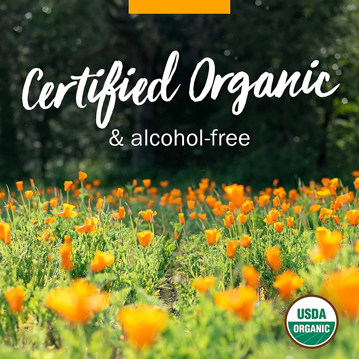 Aceite Natural De Gordolobo Ajo Caléndula Hierba De San Juan Para Niños 1 Onza Líquida