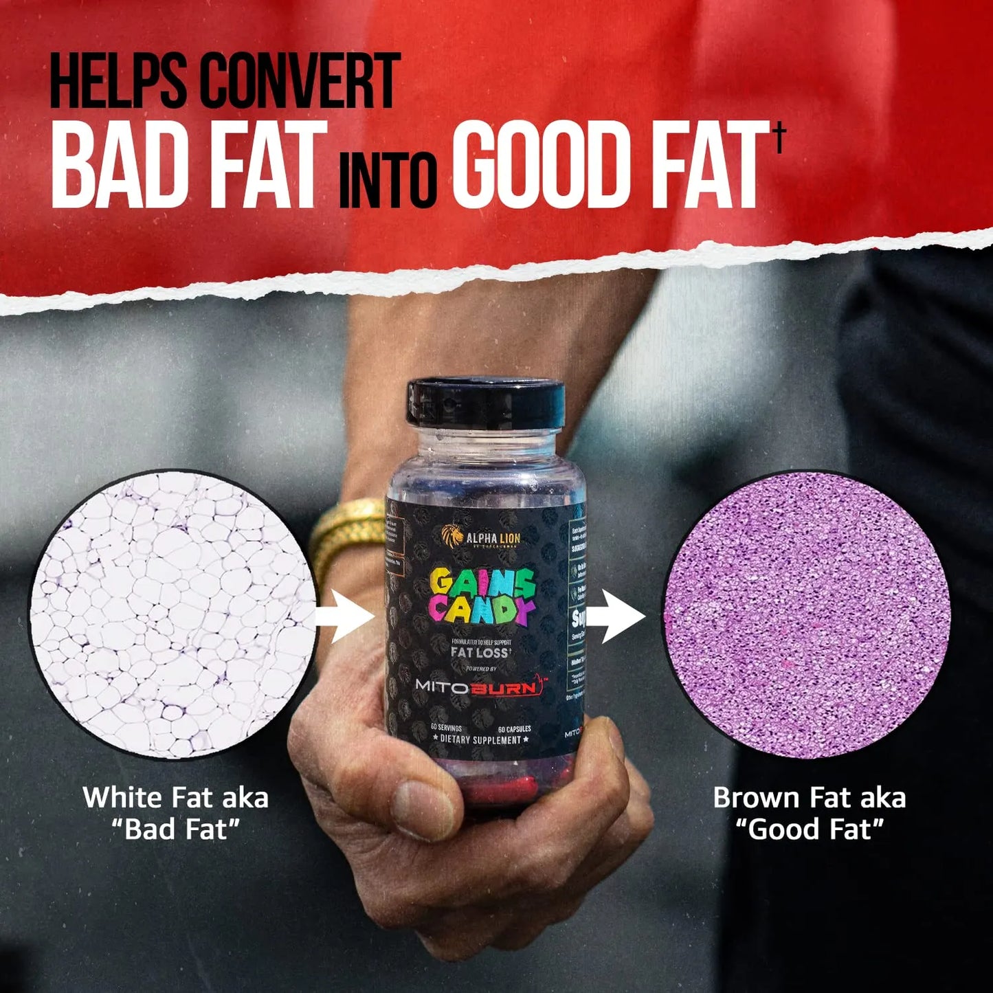 Gains Candy Píldoras Pérdida Peso Supresor Apetito Energía Metabolismo