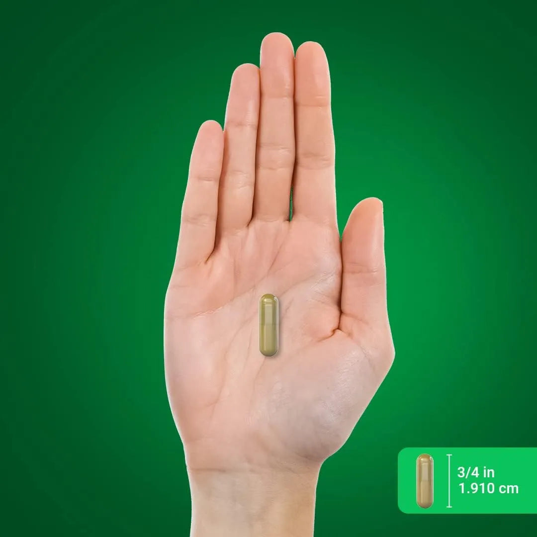 Cápsulas De Cola De Caballo 800 Mg 180 Unidades Extracto De Hierbas Sin OMG Sin Gluten