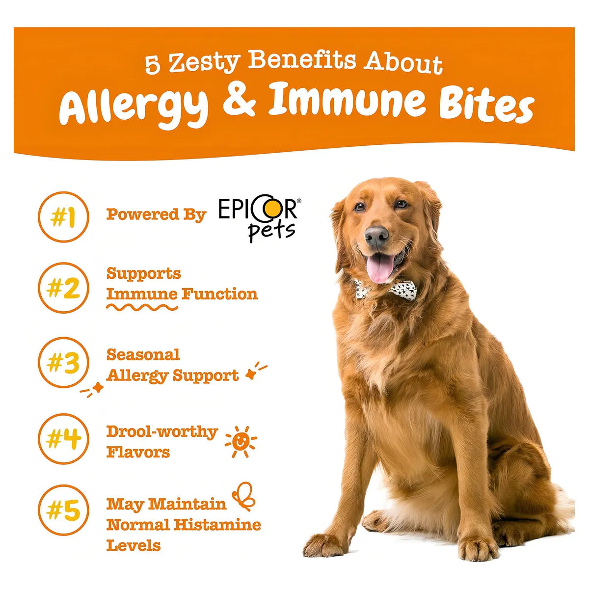 Suplemento Antipicazón Zesty Paws Masticables Omega 3 Para Alergias En Perros 90 Unidades