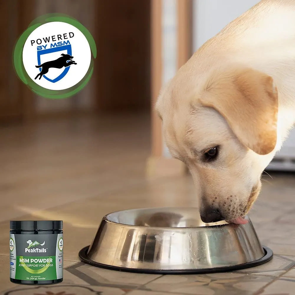 MSM Polvo Para Perros 1 Libra Apoyo Articulaciones 99.9 Puro PeakTails