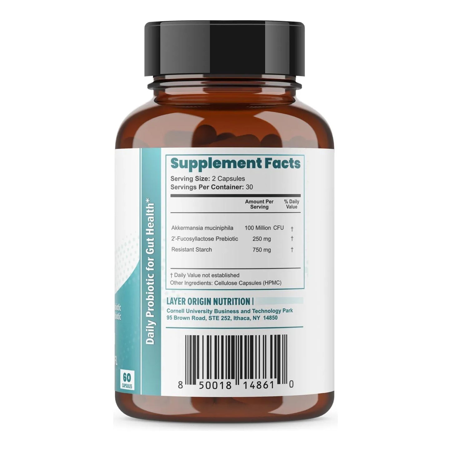Probiótico Akkermansia Muciniphila Con Prebiótico PureHMO Salud Intestinal Premium