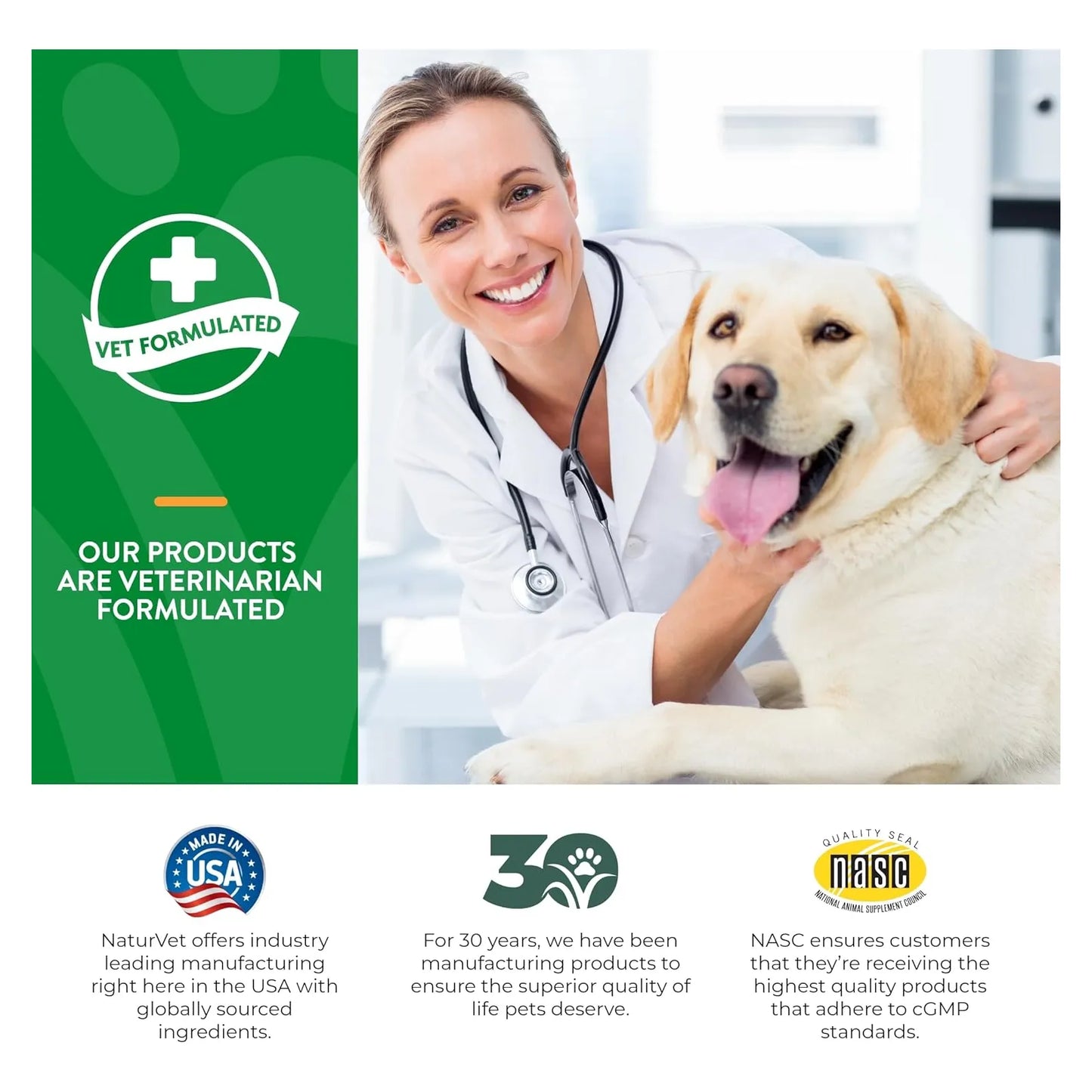 Probióticos Y Enzimas Masticables Para Perros Mejora Digestión Y Salud Intestinal