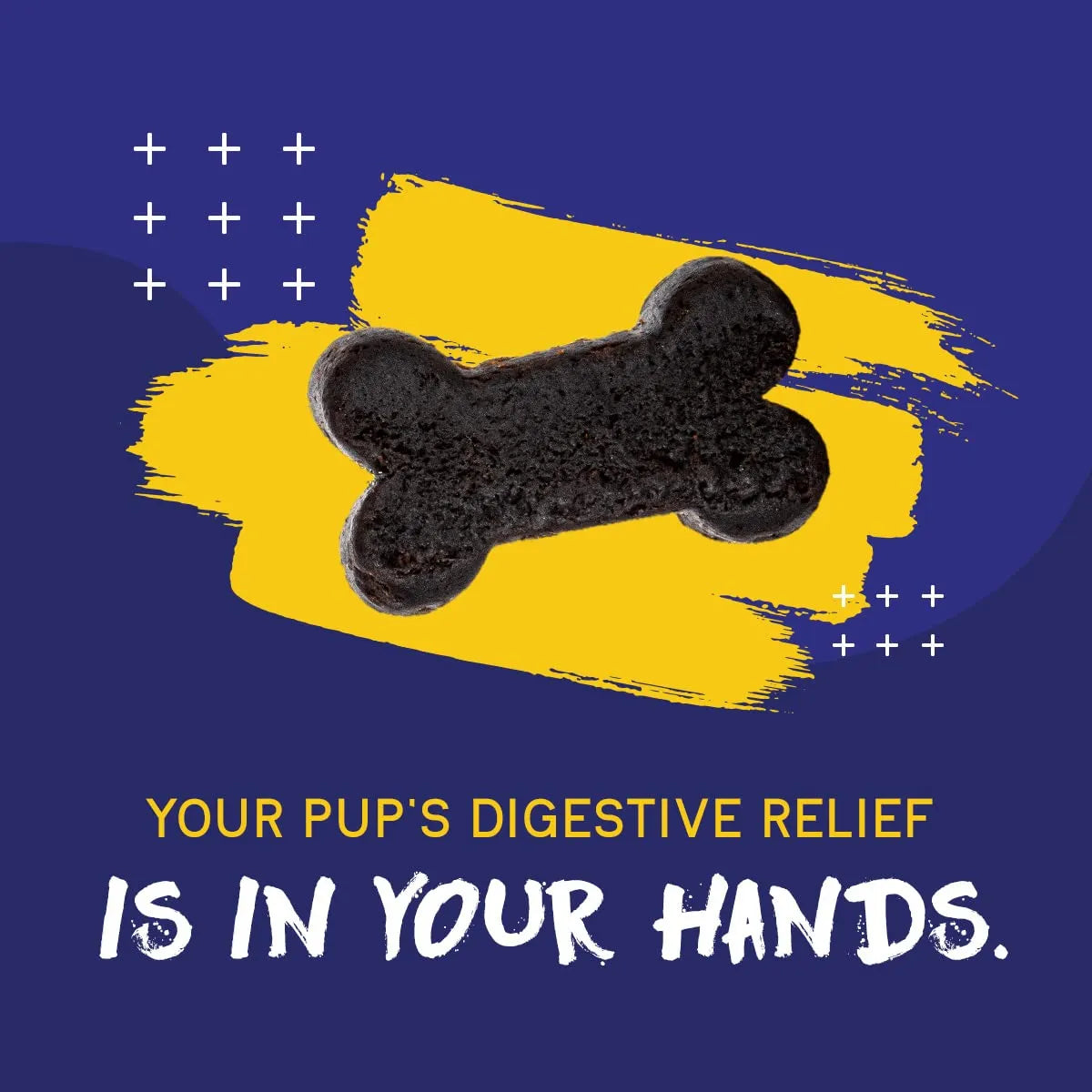 Masticables Digestivos Para Perros Con Prebióticos Probióticos Enzimas Y Antioxidantes