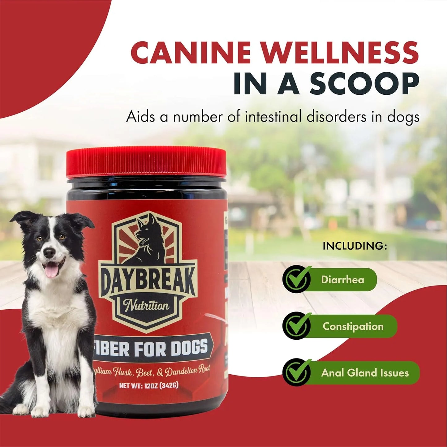Suplemento De Fibra Natural Para Perros Con Psyllium Y Prebióticos Alivia Estreñimiento Y Diarrea