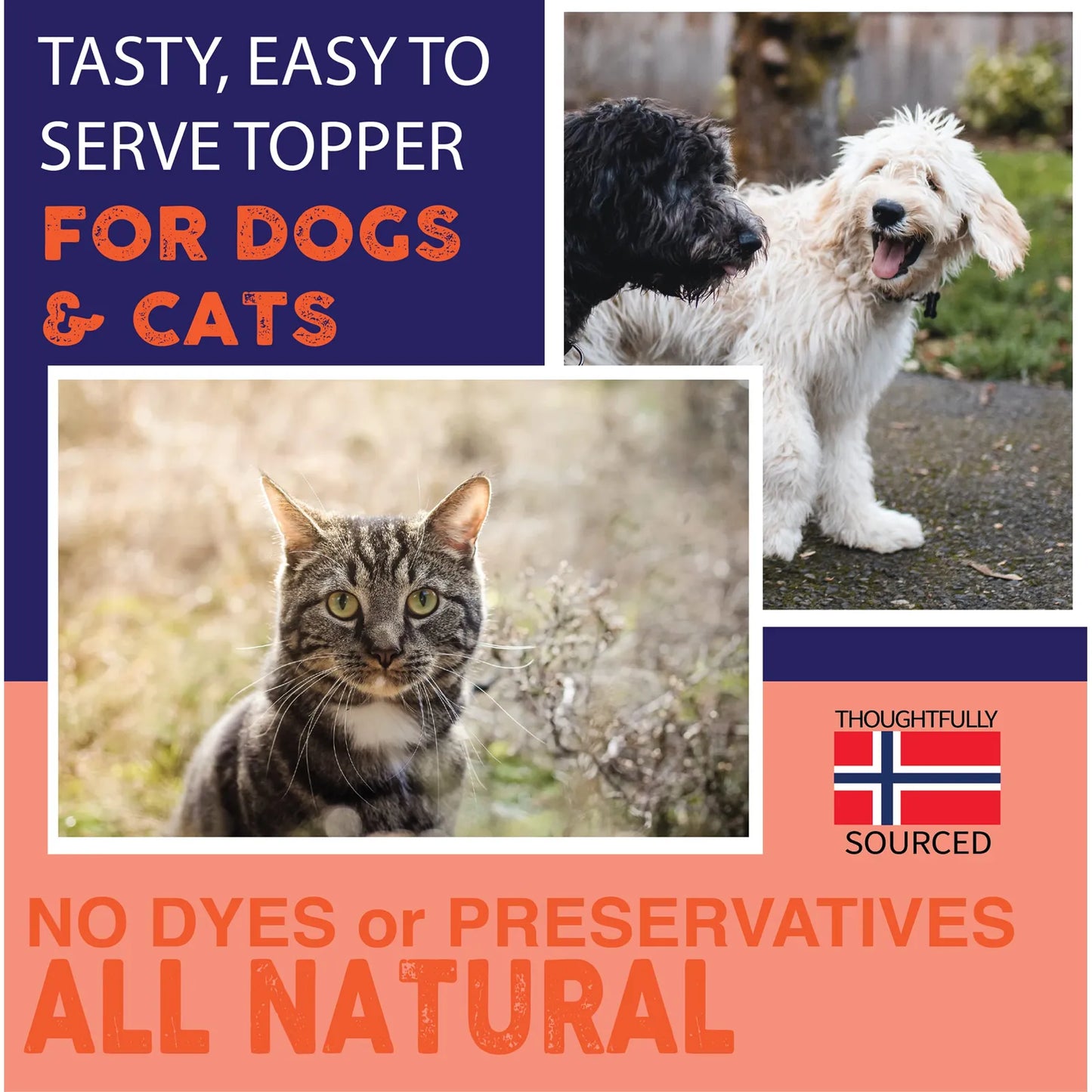 Aceite De Salmón Noruego Para Mascotas 946 Ml Apoyo Articular Piel Y Pelaje