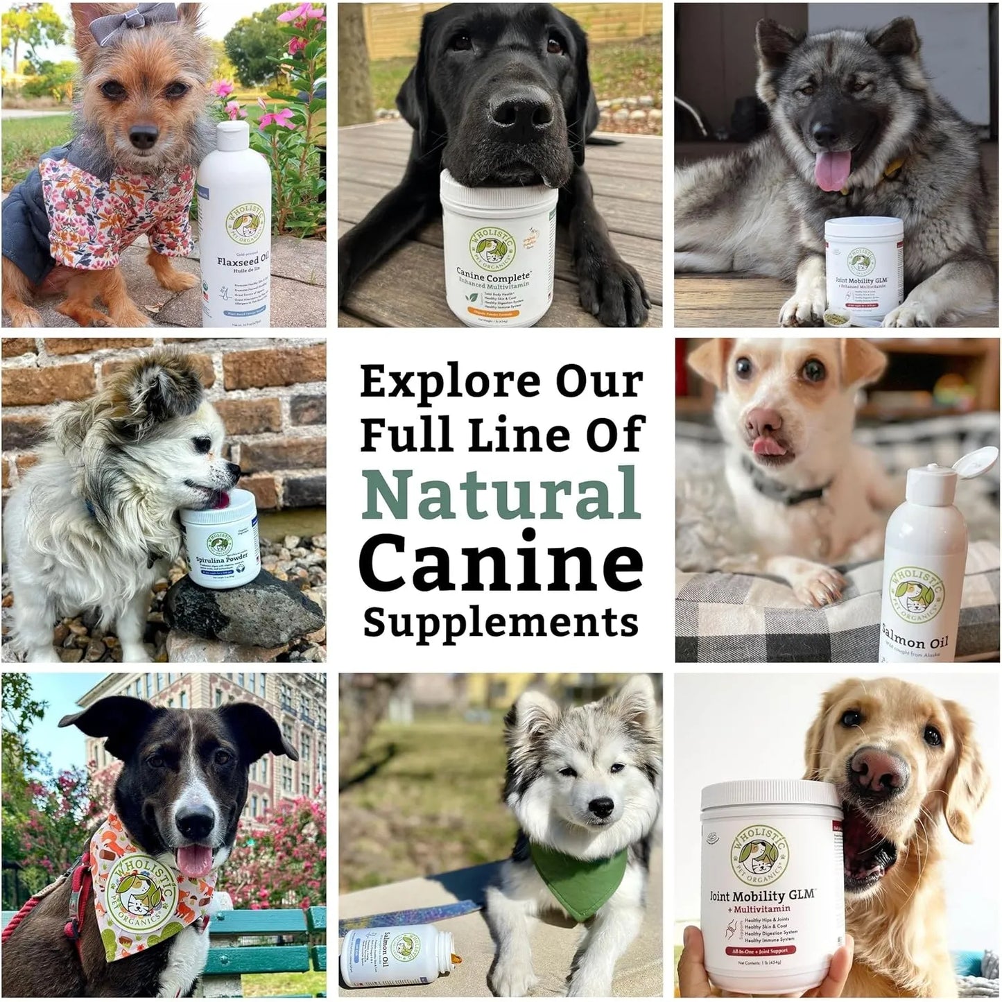Multivitaminico En Polvo Para Perros 900g Nutrientes Esenciales Piel Y Digestión