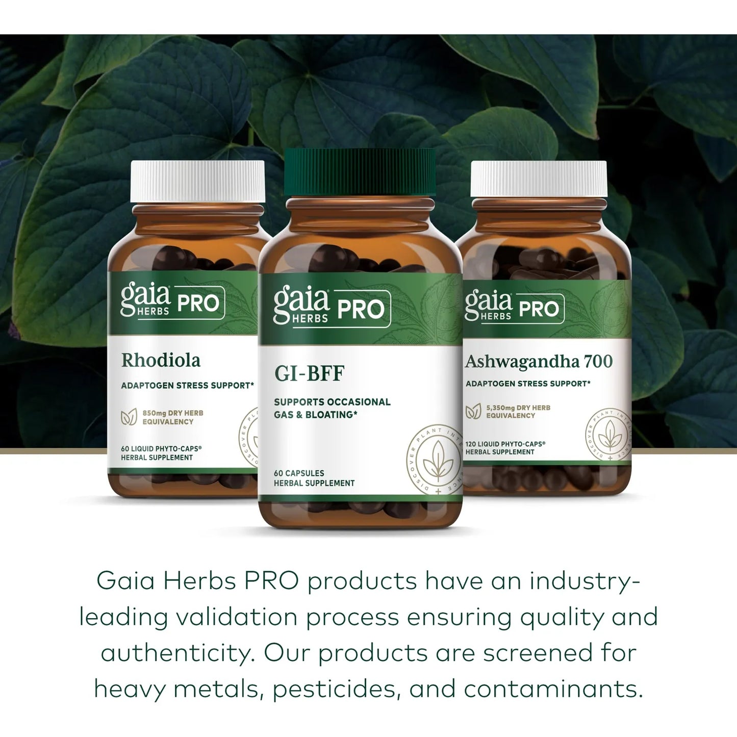 Probióticos Gaia Pro GI BFF 60 Cápsulas Salud Digestiva E Inmunidad