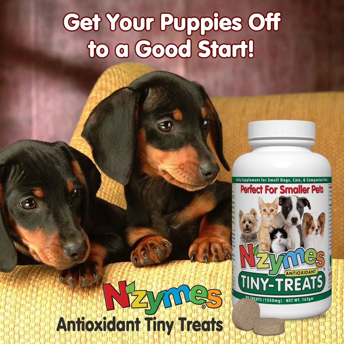 Golosinas Antioxidantes Para Perros Pequeños Salud Articular Y Piel
