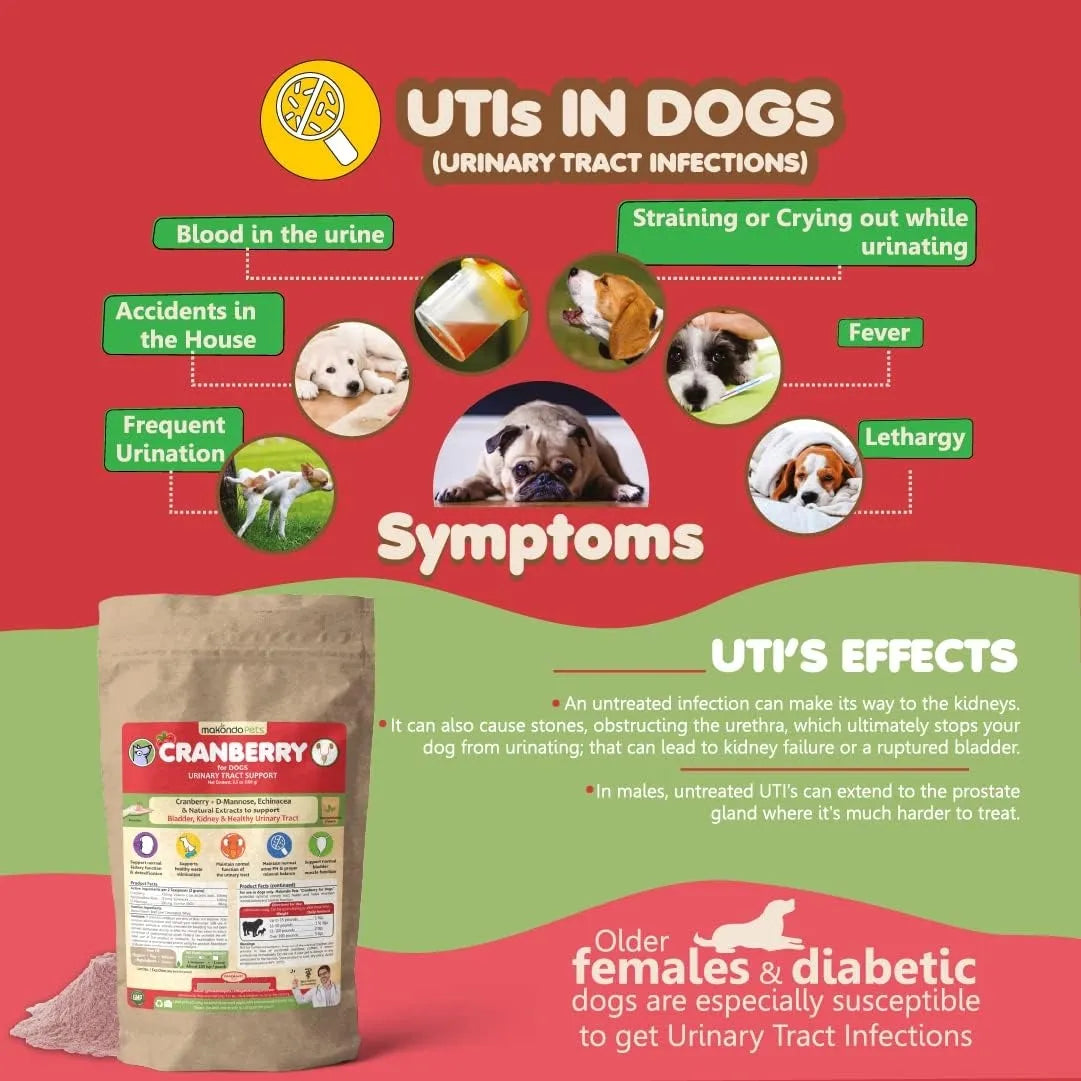 Polvo De Arándano Natural Para Perros Tratamiento Infección Urinaria y Soporte Renal