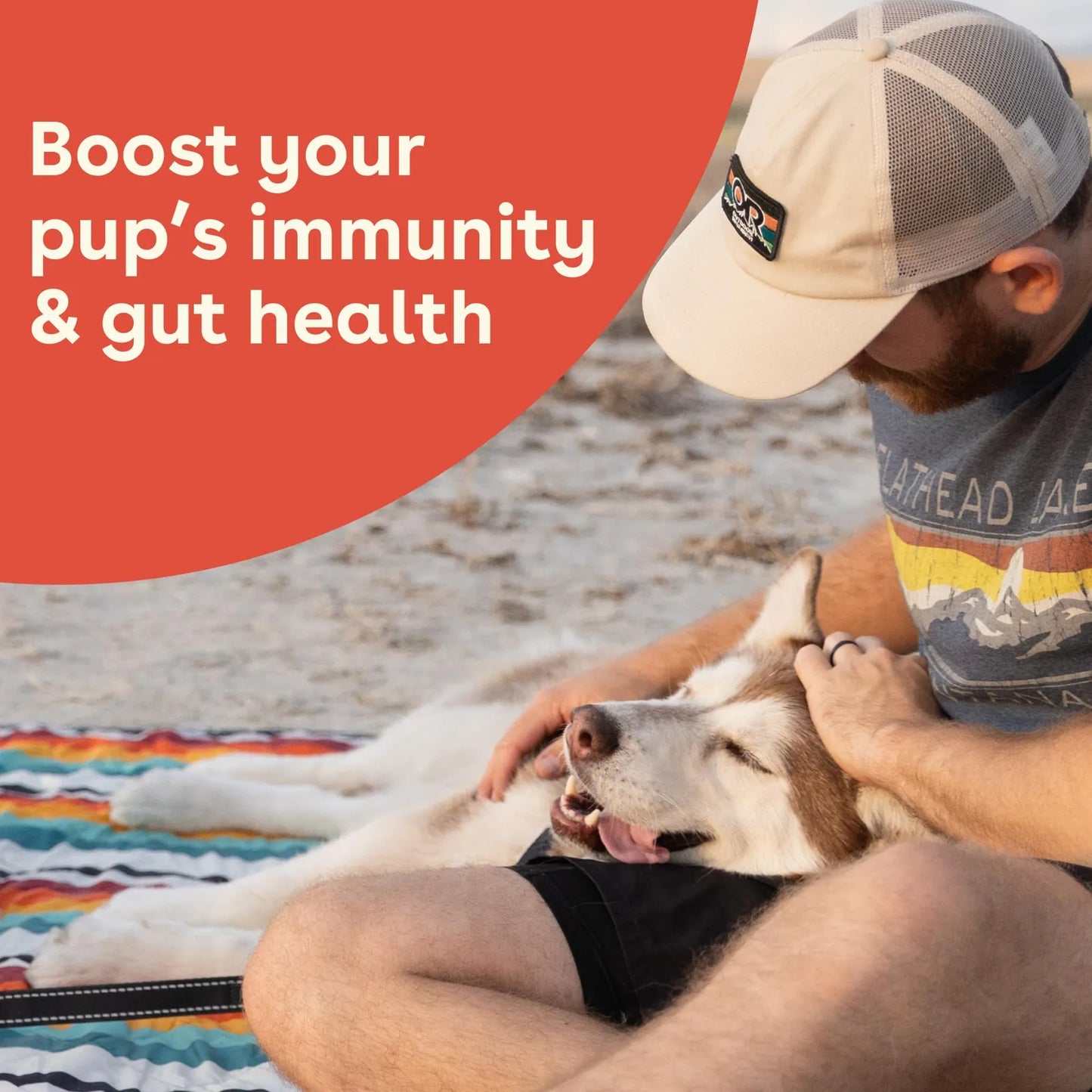Suplemento Salud Intestinal E Inmunidad Para Perros Sabor Mantequilla De Maní 60 Masticables