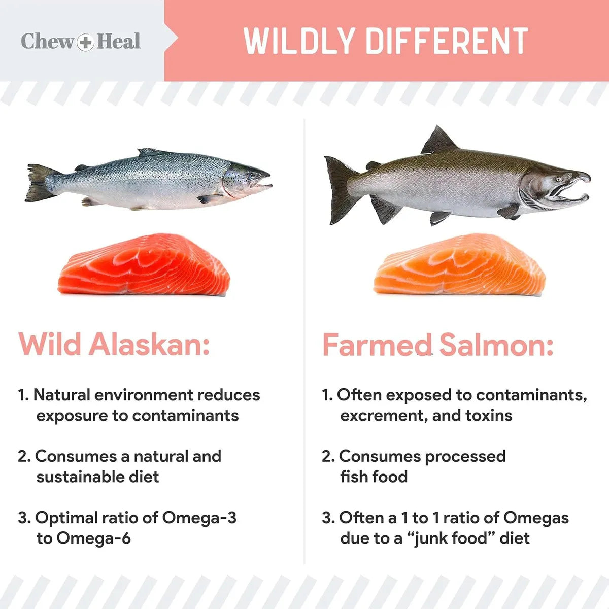 Aceite De Salmón Puro De Alaska 473 Ml Piel Y Pelaje Saludable