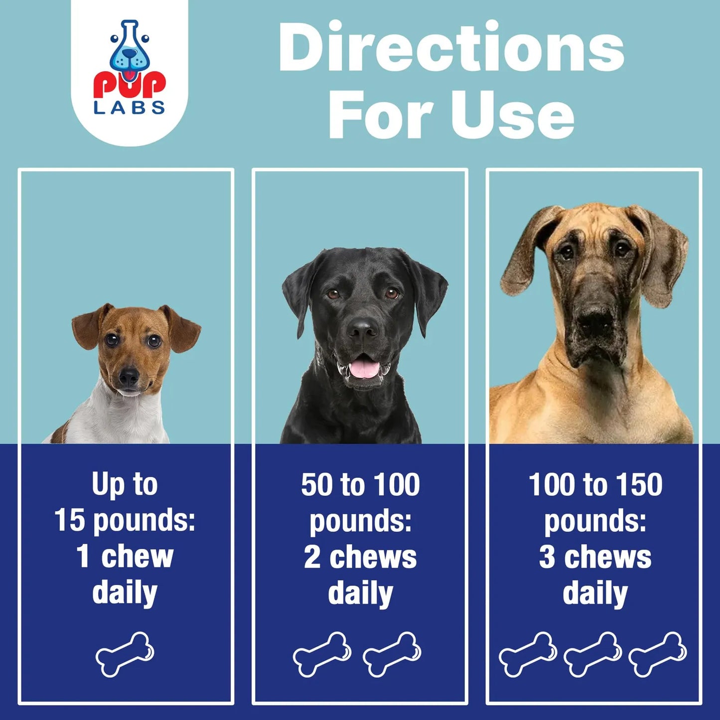 Probióticos Esenciales Para Perros Salud Intestinal Y Bienestar
