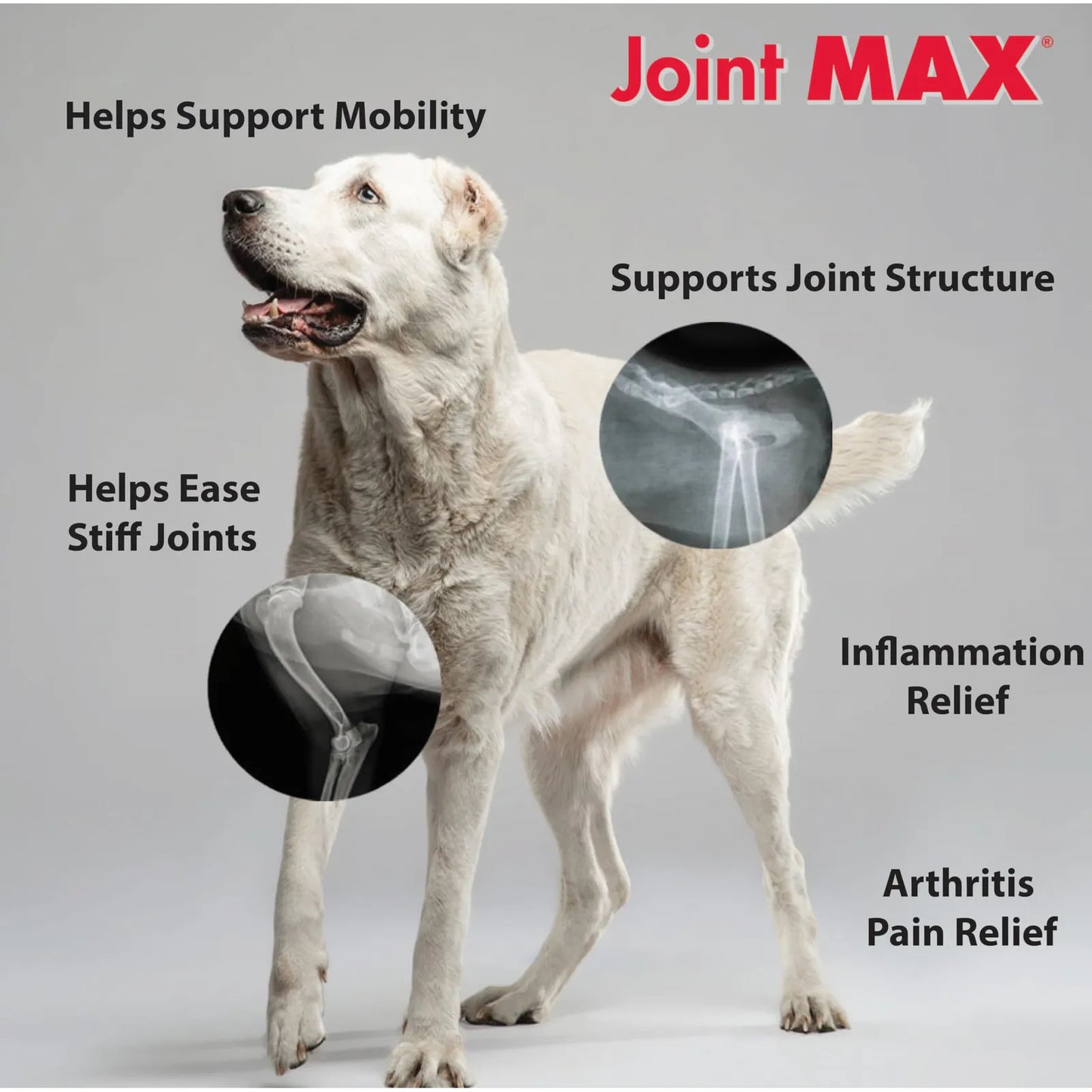 Masticables Hipoalergénicos Para Perros Con Glucosamina Condroitina Y MSM Triple Strength