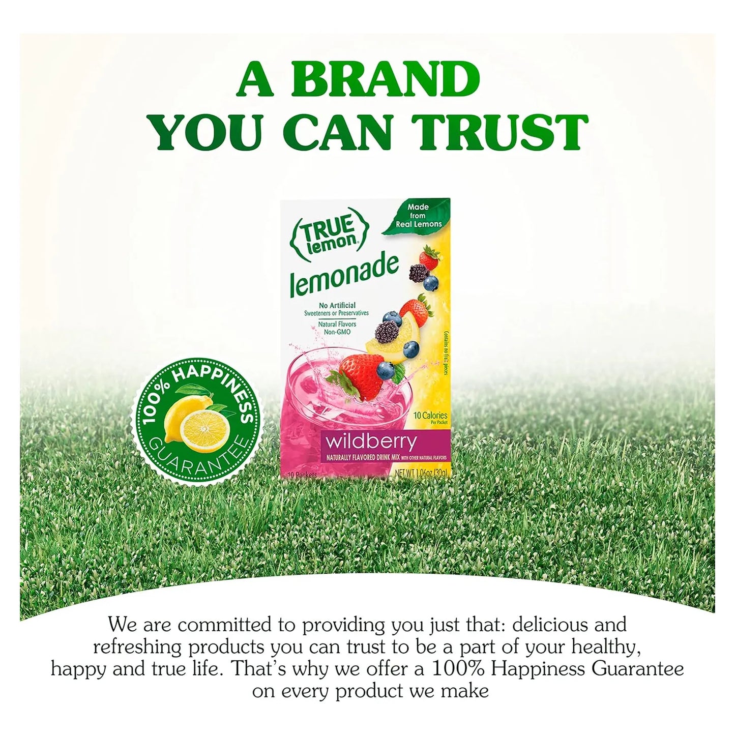 True Lemon Wildberry Lemonade Mezcla De Bebida Potenciadora De Agua Con Sabor Natural
