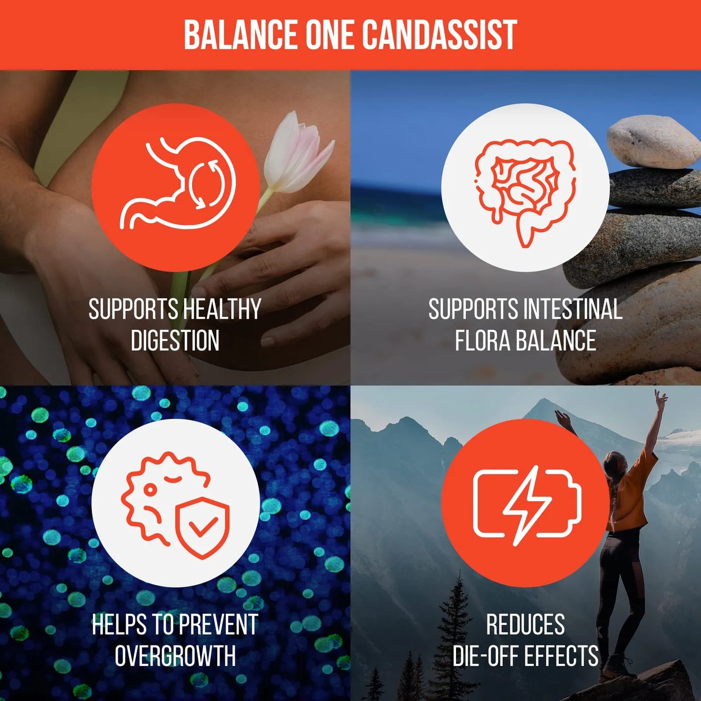 CandAssist Balance De Flora Intestinal Capsulas Liberacion Retardada Vegano Sin OMG