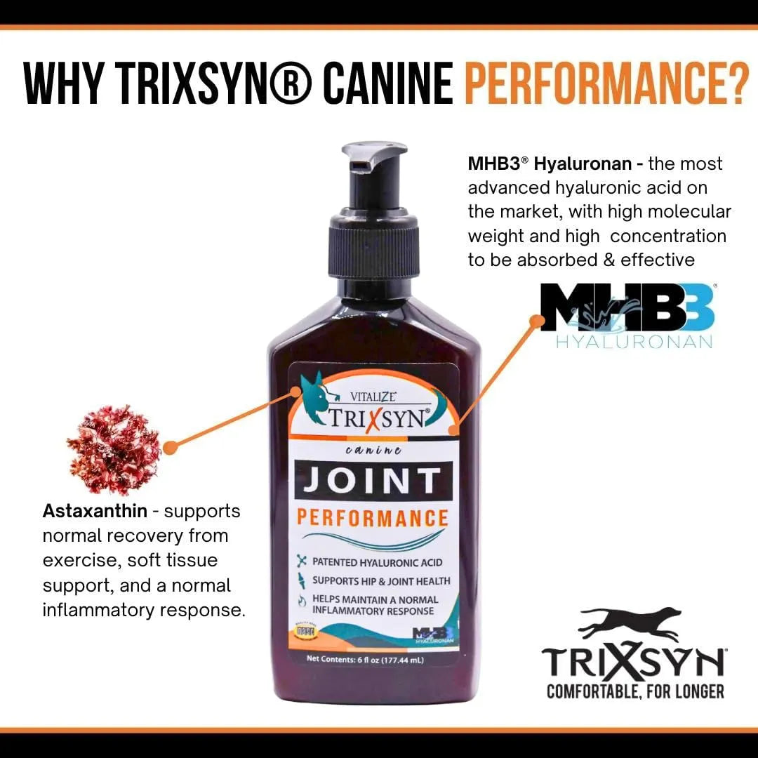 Suplemento Líquido Para Articulaciones En Perros Canine Performance MHB3 Alivia Dolor Y Aumenta Movilidad