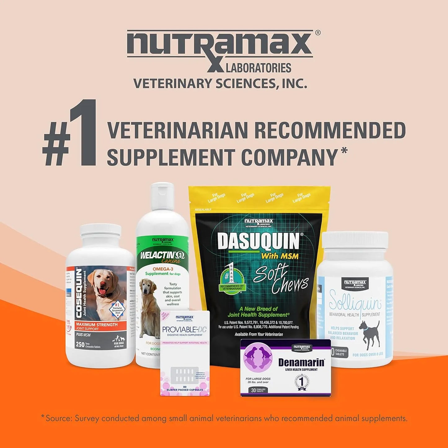 Suplemento Inmunologico Para Perros Con Beta Glucanos Y Omega 3 Nutramax Imuquin 30 Sobres