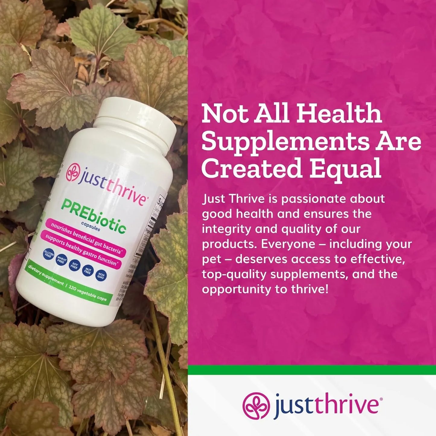 Capsulas Prebioticas Apoyo Gastrointestinal E Inmunologico Just Thrive 120 Caps