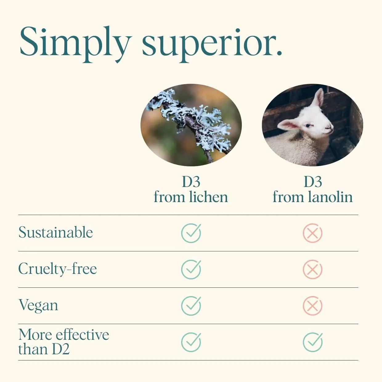 Vitamina D3 2000UI Vegana De Liquen Salud Osea Energia Y Defensas