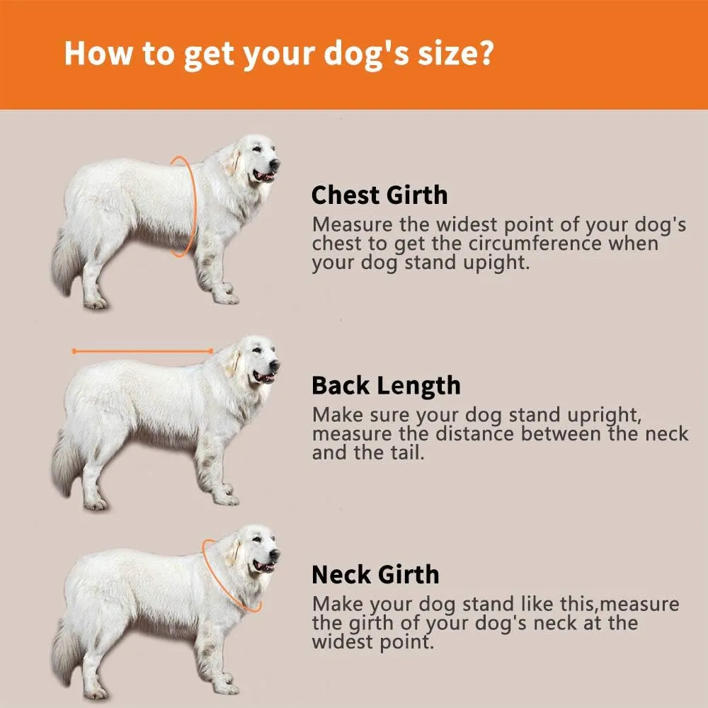 Chaqueta Salvavidas Ajustable Para Perros Con Rayas Reflectantes Seguridad Y Estilo