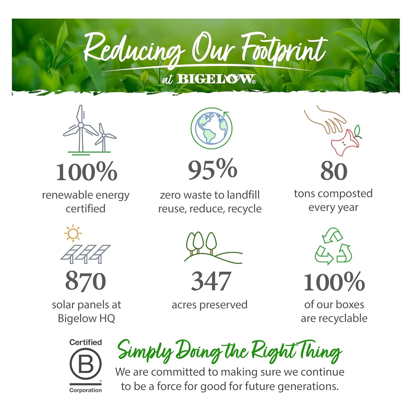 Té Herbal De Manzanilla Y Lavanda Bigelow Benefits Sleep Relajación Y Sueño