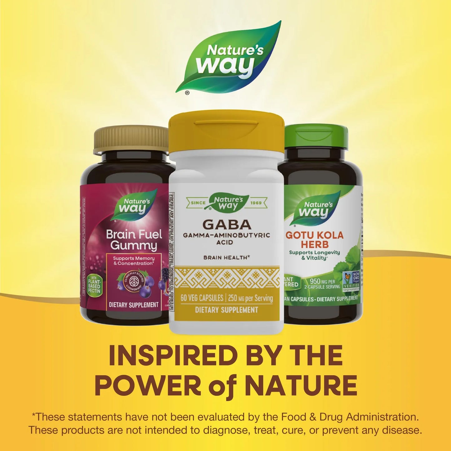 GABA 250 Mg Nature's Way 60 Capsulas Salud Cerebral Enfoque Natural