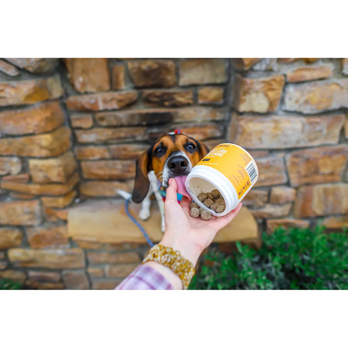 Masticables Suaves Para Piel Y Pelaje Canino Con Aceite De Salmón 120 Unidades