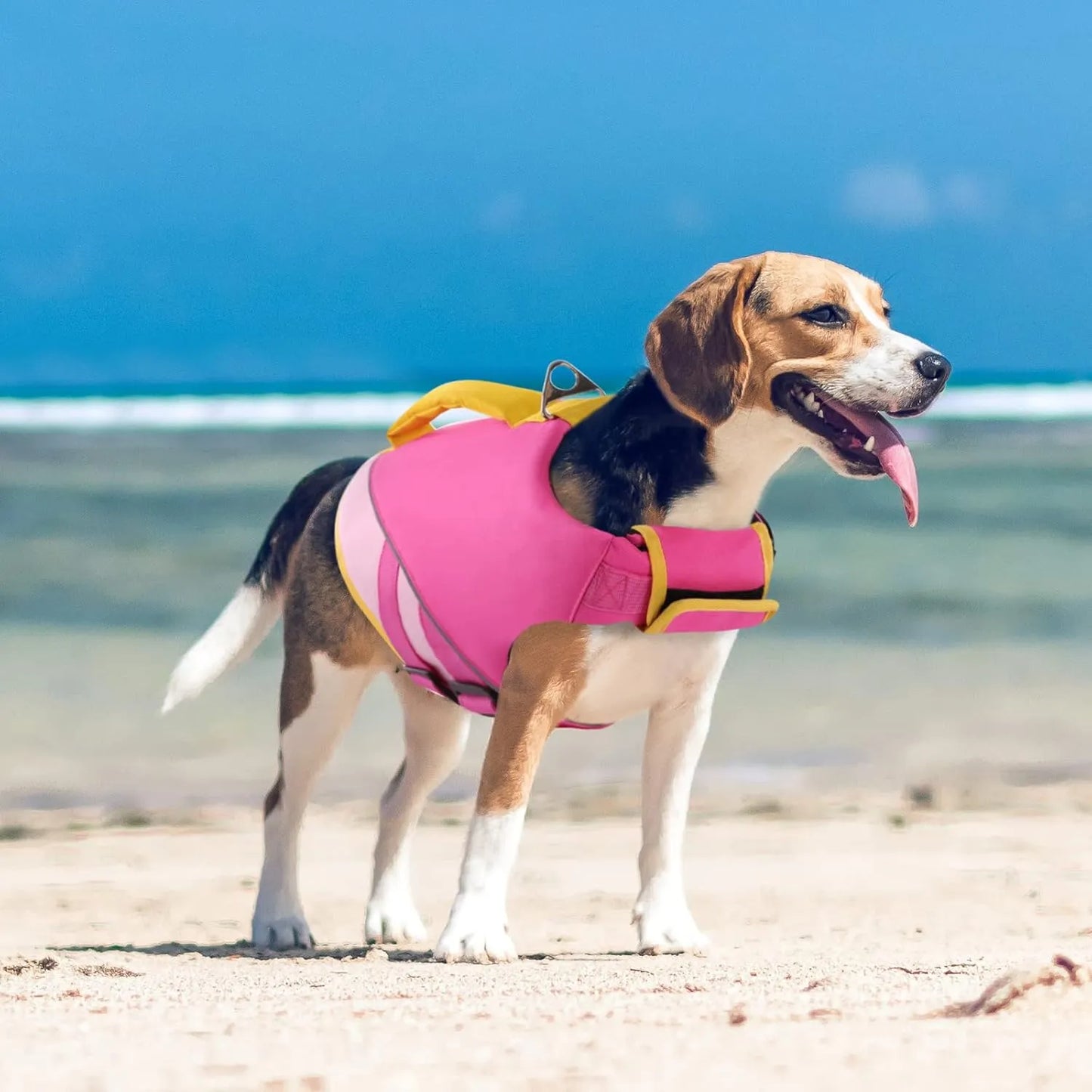 Chaleco Salvavidas Para Perros Pequeños Con Asa De Rescate Morado Alta Flotabilidad