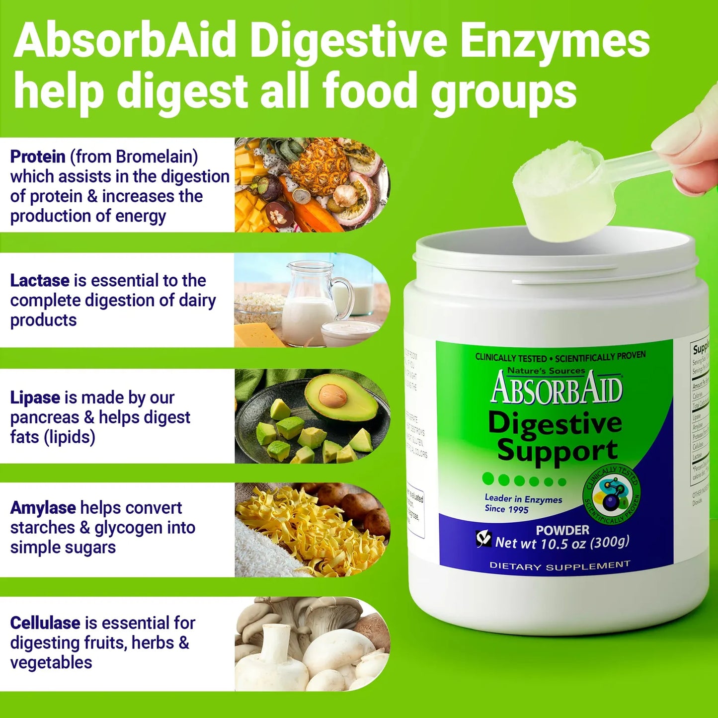 Enzimas Digestivas 300 Gramos Aumenta Absorcion Nutrientes Hasta 71