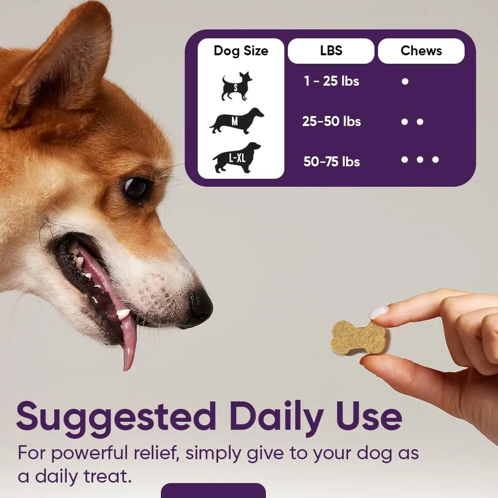 Probiótico 3 En 1 Para Perros Con Calabaza Mejora Digestión Y Salud Intestinal 90 Unidades