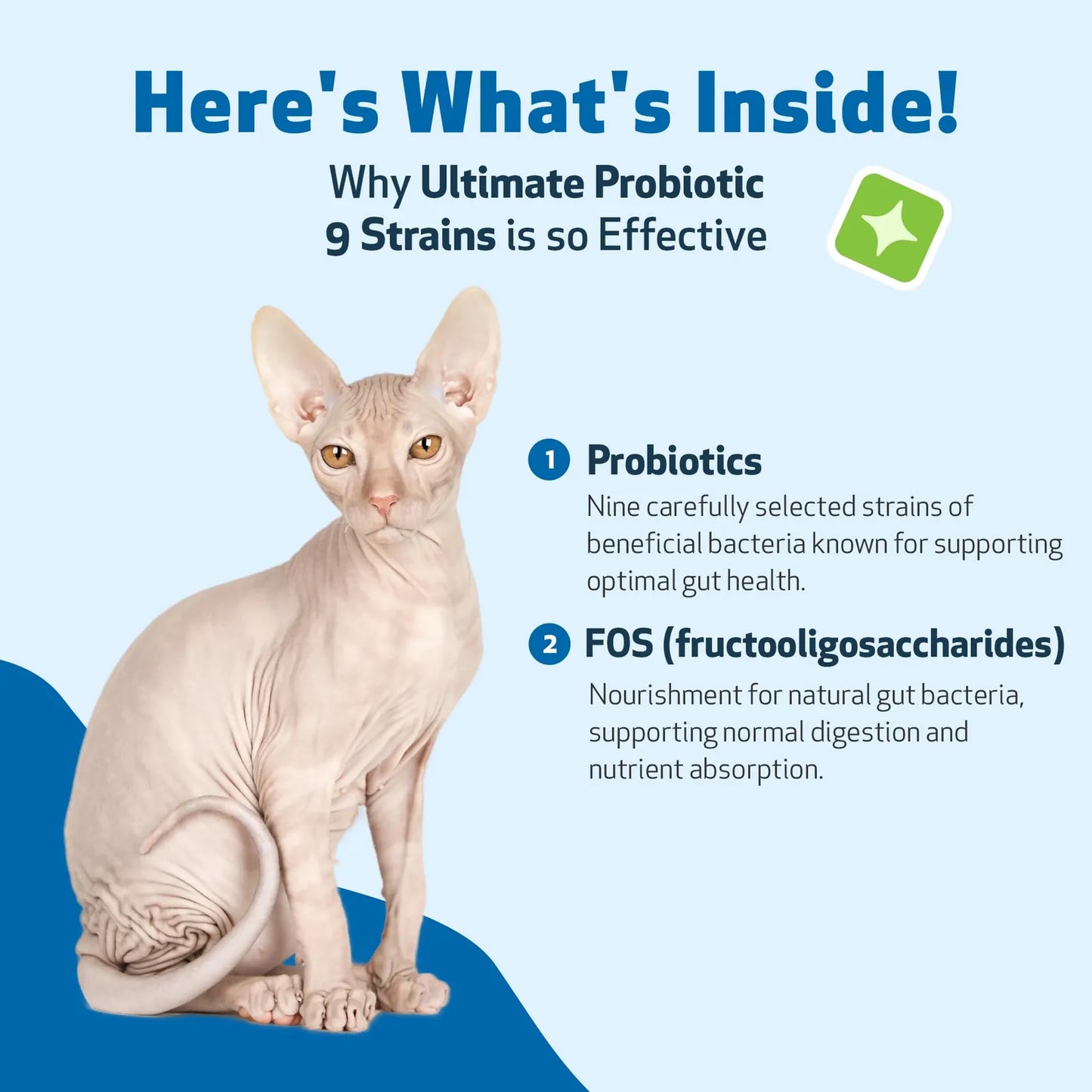 Probióticos Avanzados Para Gatos 9 Cepas Con Prebióticos Salud Intestinal E Inmunidad