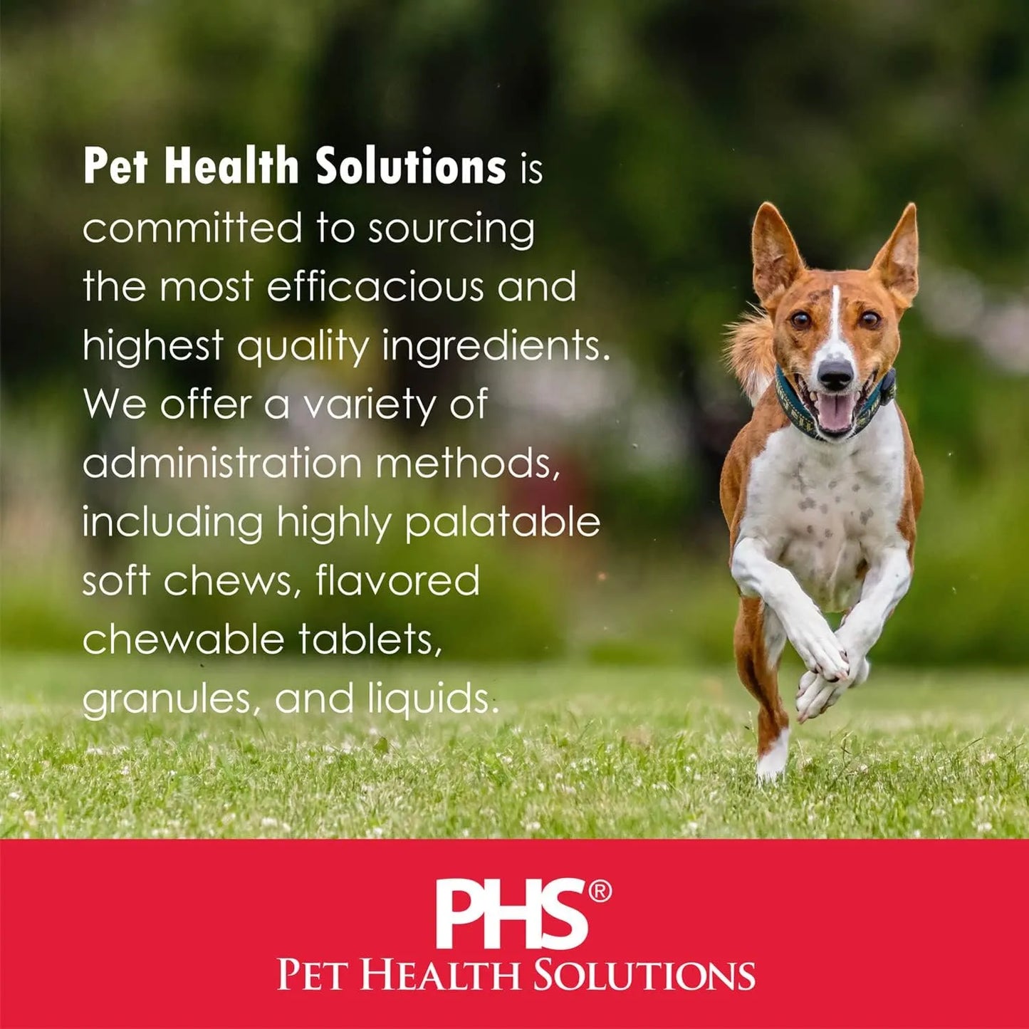Tabletas Masticables Derm Tabs Para Piel Y Pelaje Canino 120 Unidades